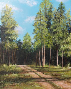 Strada nel bosco