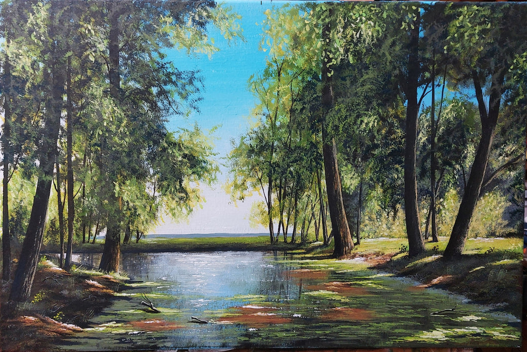 Il fiume e lo stagno